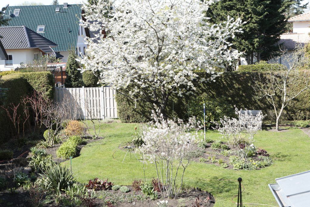 Gartenseite, jeden Monat neu – Ingrid Gorr
